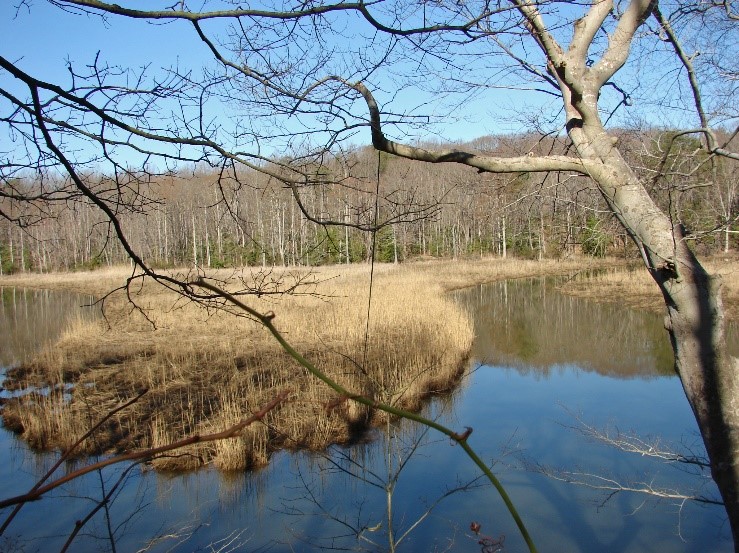 Biscoe Gray Heritage Farm